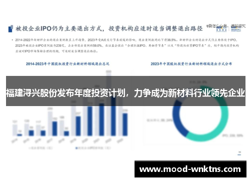 福建浔兴股份发布年度投资计划，力争成为新材料行业领先企业